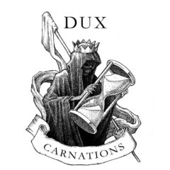Dux – Carnations