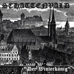 Schattenvald – Der Winterkönig