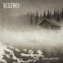 Buio – Seinswende