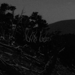 Wilds Forlorn – Bellum Omnium Contra Omnes