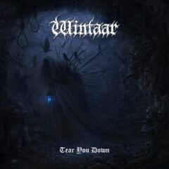 Wintaar – Tear You Down