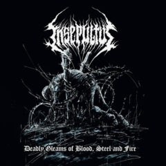 Insepultus – Deadly Gleams Of Blood, Steel And Fire