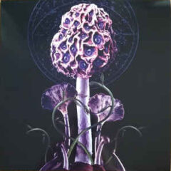 Blut Aus Nord – Hallucinogen